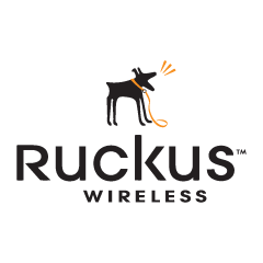 Ruckus Wireless
